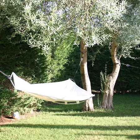 Teresa Hotel